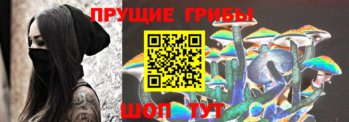 Химки  Псилоцибиновые грибы Psilocybe  Вход с VPN 